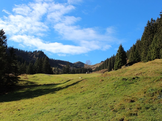 Obermaiselstein 2016 (7)